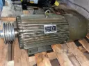 Fuji Electric 3-Phase Induction Motor